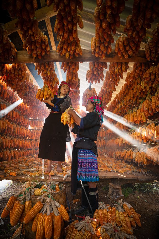 Photograph by Hanh P. T. Pham