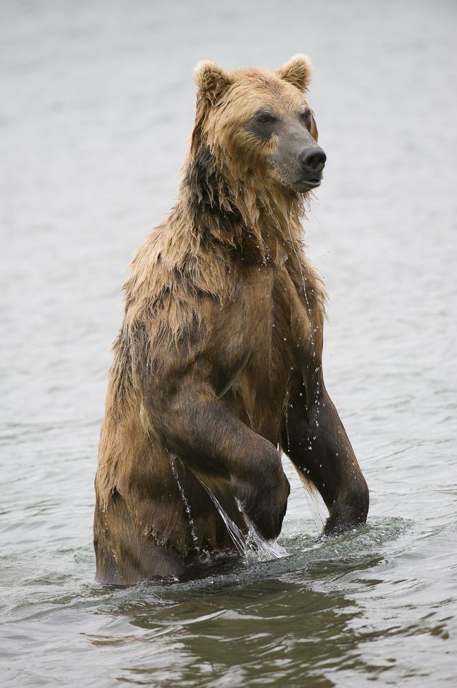 Photograph by Геннадий Тикка