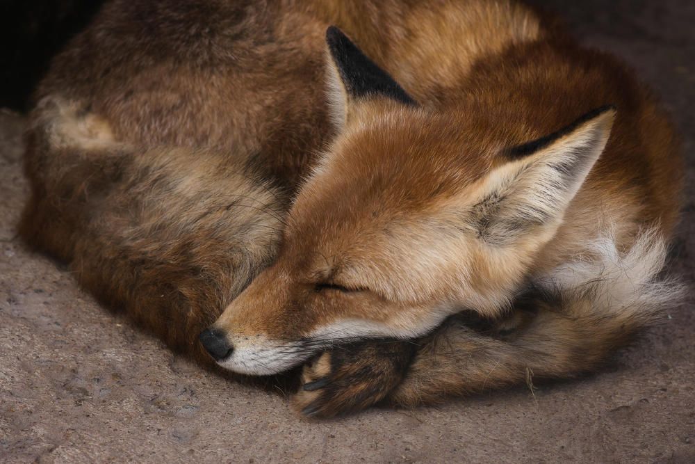 Photograph by Полина Хрол