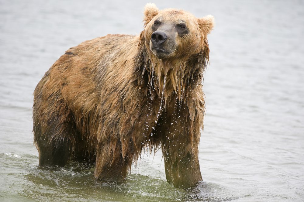 Photograph by Геннадий Тикка
