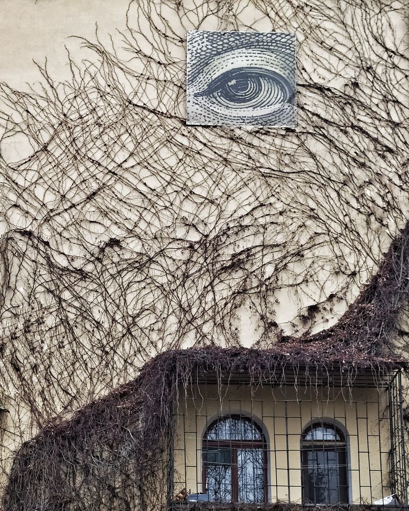 Photograph by Анна Пилипенко