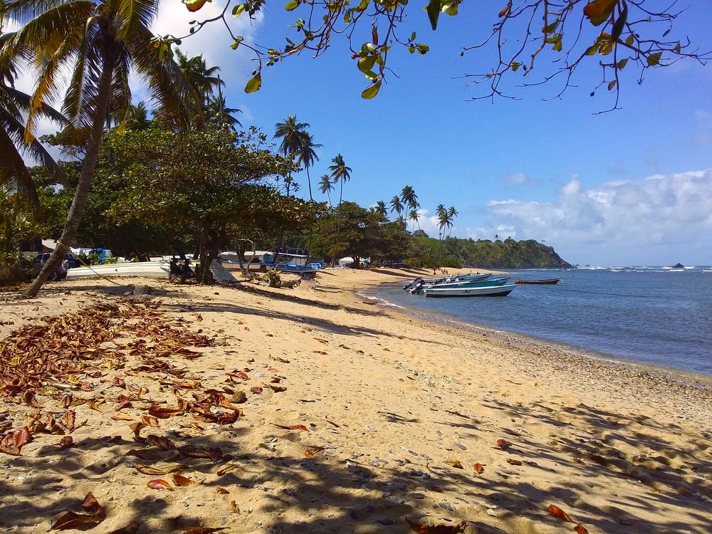 Photograph by Hilary McShine