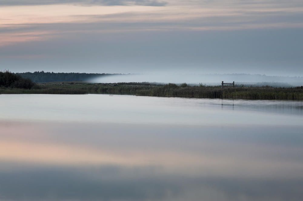 Photograph by Полина Хрол