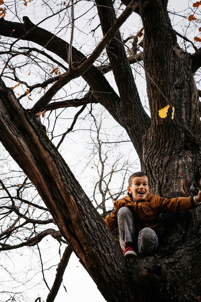 Photograph by Мария Лембрик