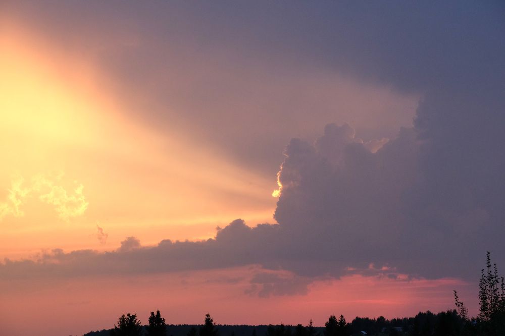 Фотография автора Наталья Липовская