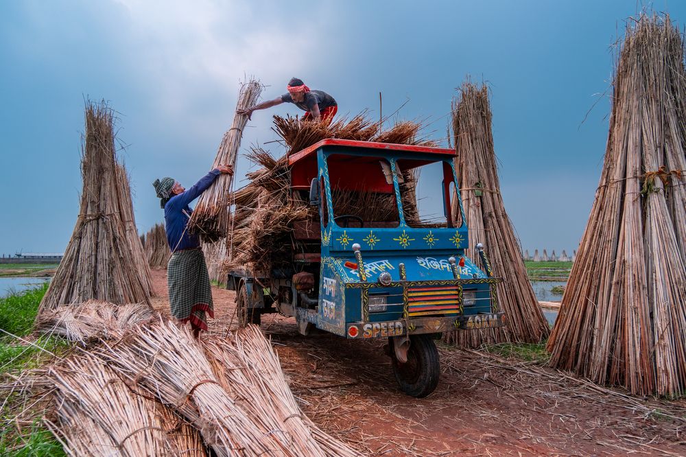 Photograph by Kuntal Biswas