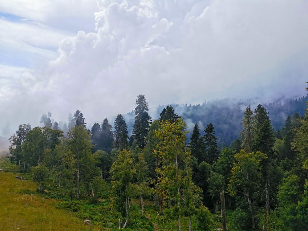 Photograph by Ольга Попченко