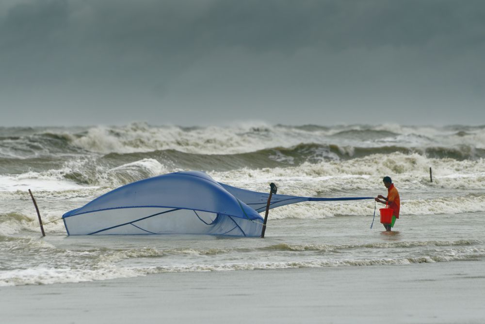 Фотография автора Mahmudul Hasan