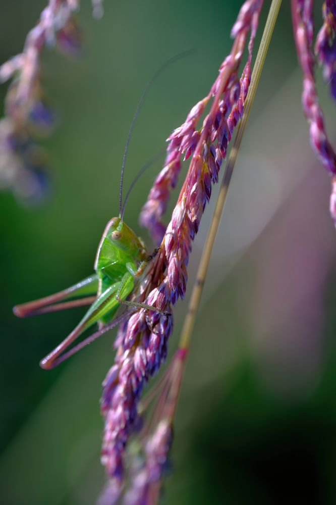Photograph by Dmitriy Lazarev