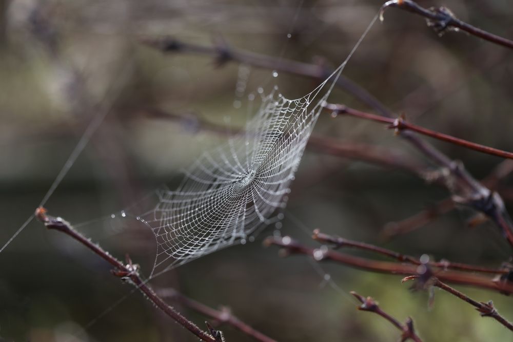 Photograph by Борис Баринов