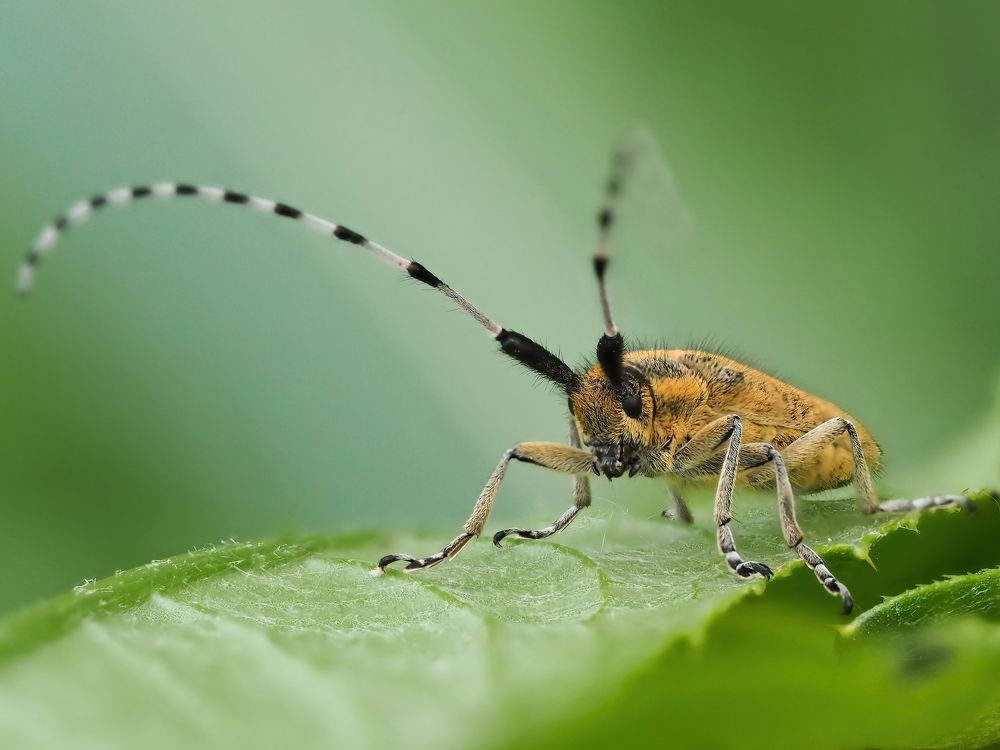 Photograph by Dmitriy Lazarev