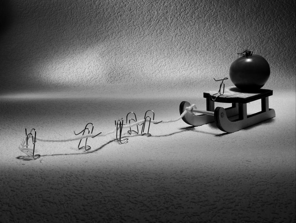 Жизнь Скреп