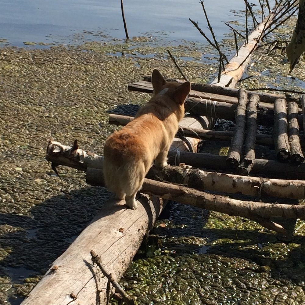 Photograph by Алексей Малеев