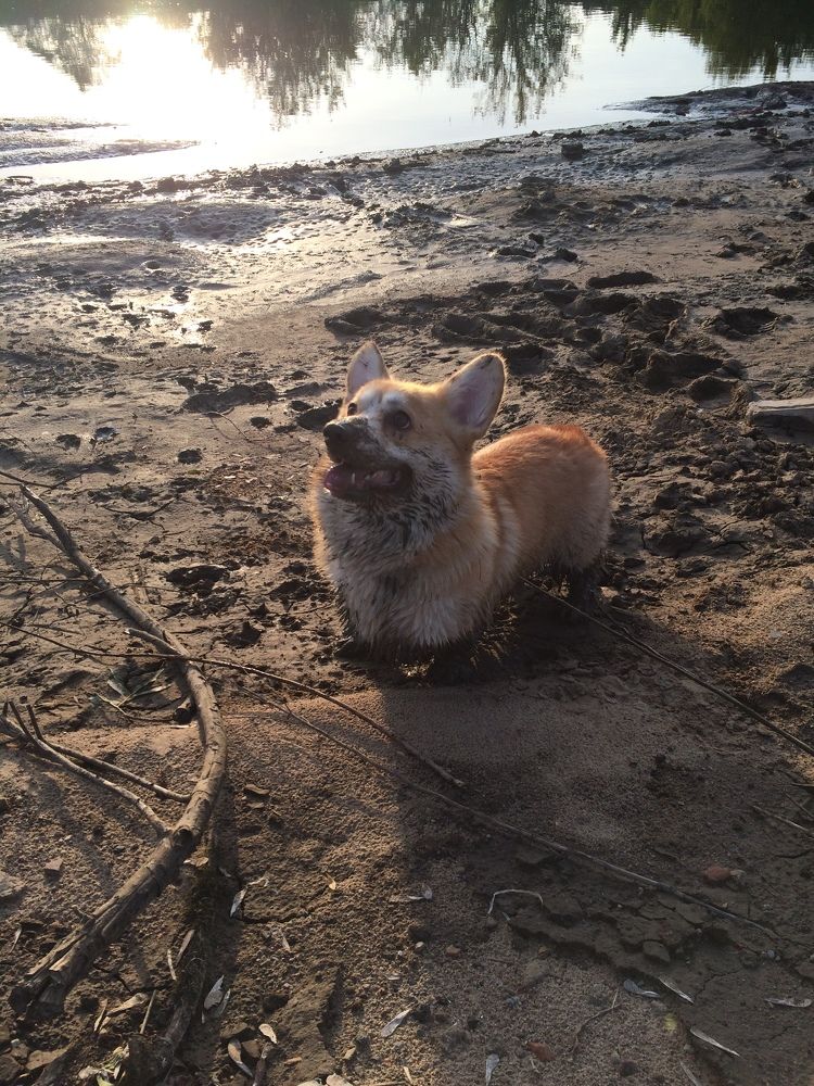 Photograph by Алексей Малеев