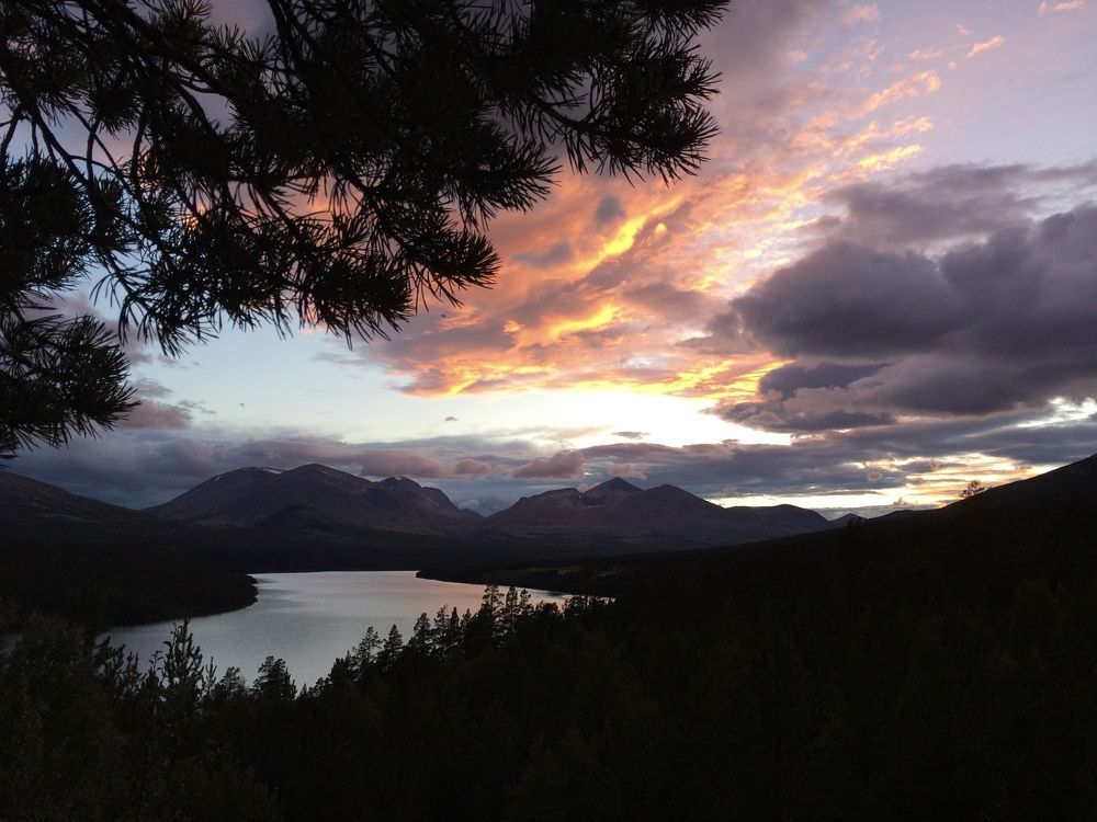 Photograph by Олег Банковский