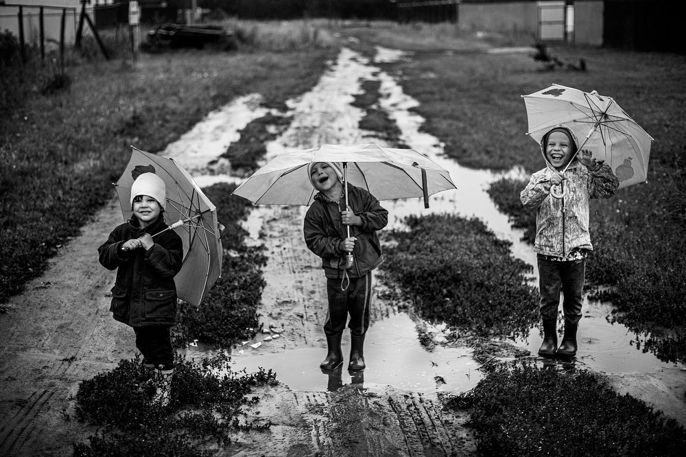 Photograph by Мария Лембрик