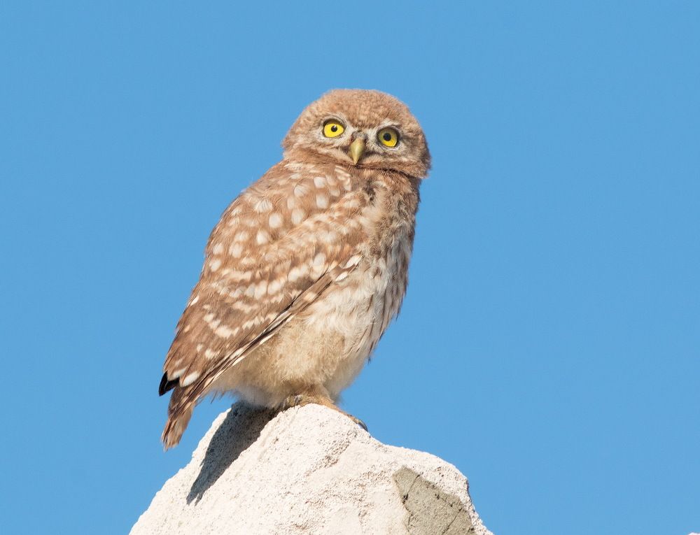 Photograph by Александр