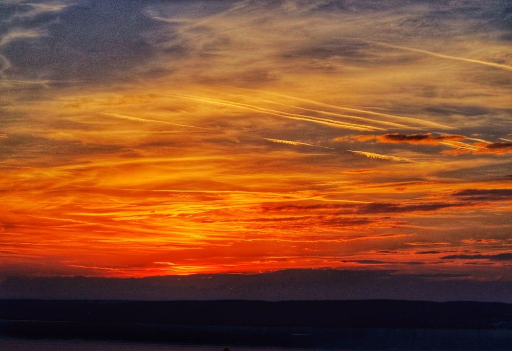 Photograph by Eva Wiedemann