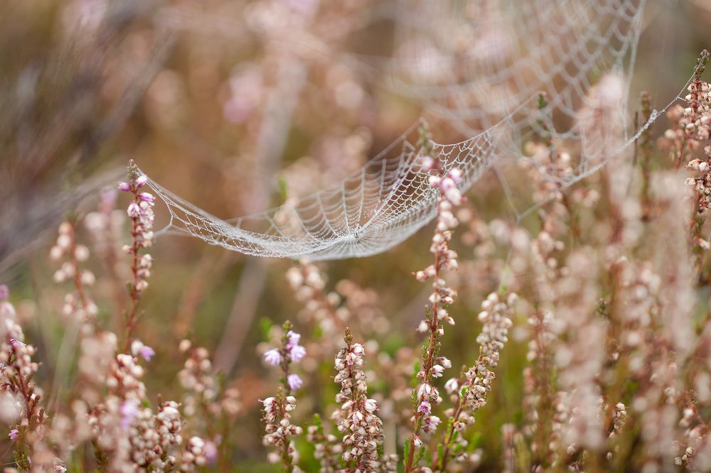 Фотография автора Екатерина Молодкина