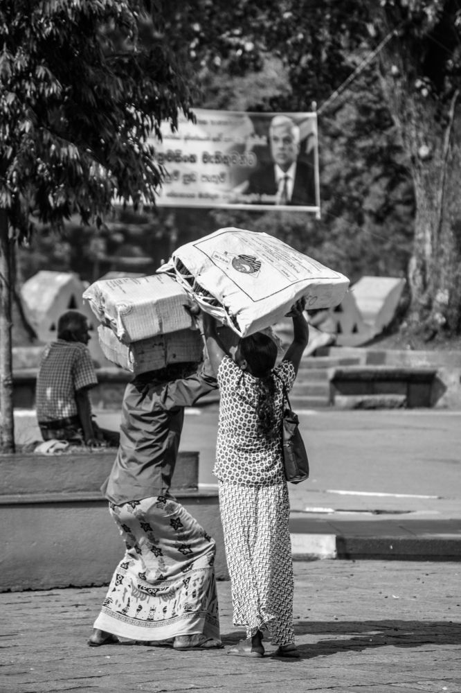 Photograph by Lithira Amarapala