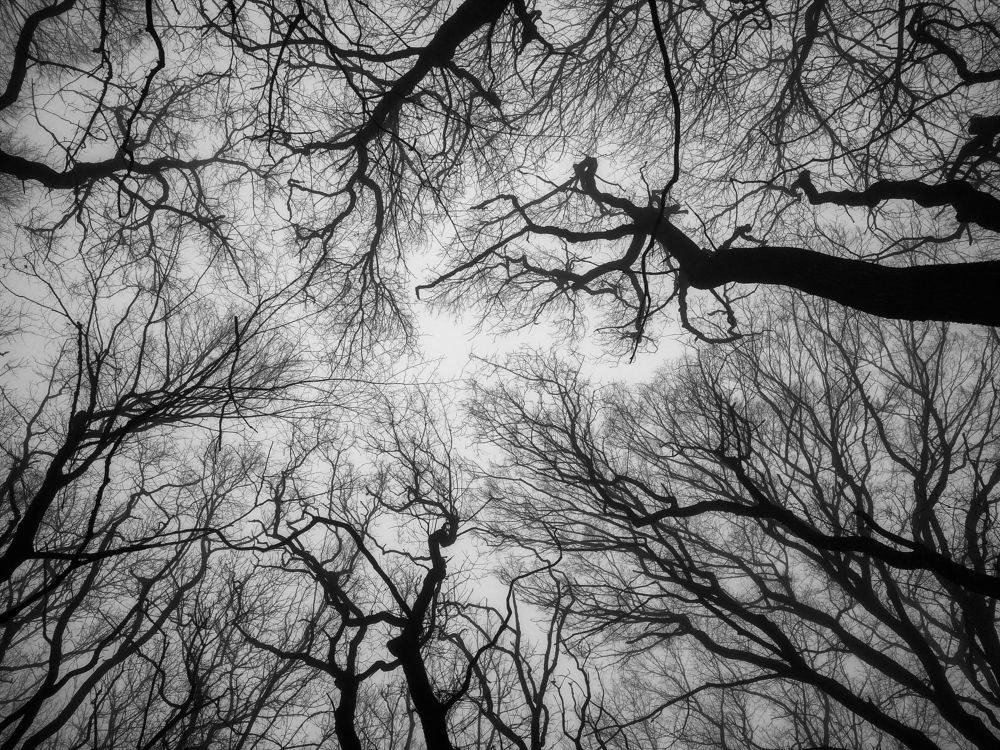 Photograph by 