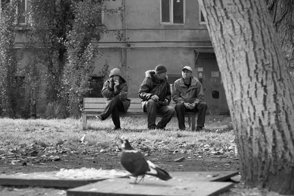 Photograph by Пиленгас Александр