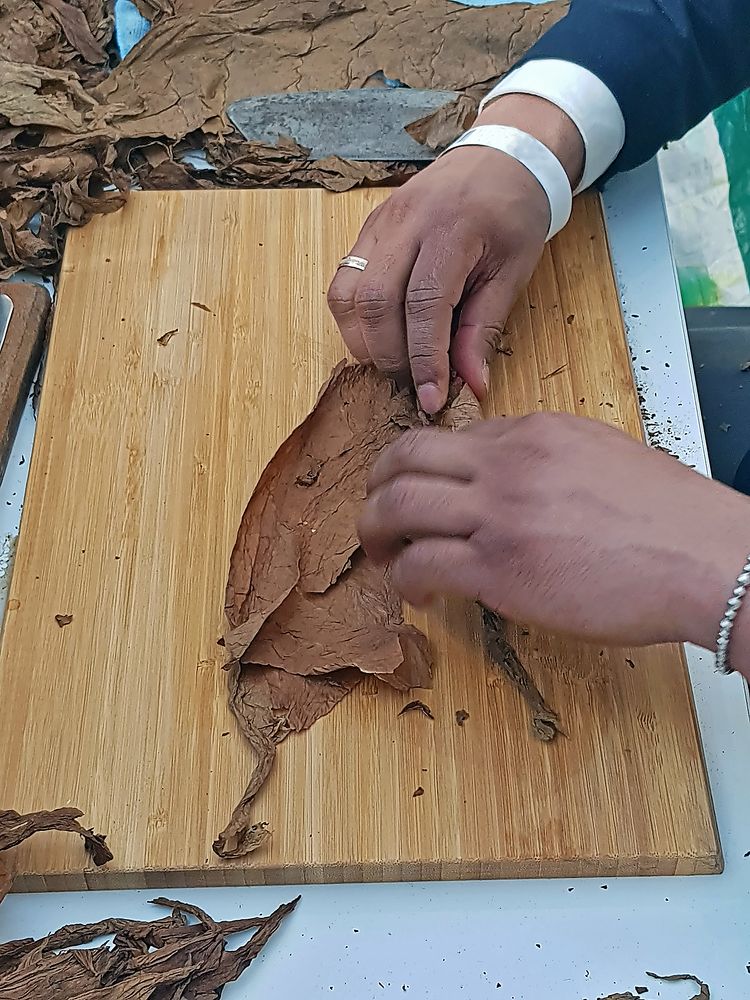 Photograph by Дмитрий