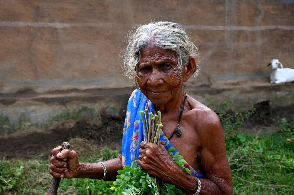 Фотография автора SRIMANTA RAY
