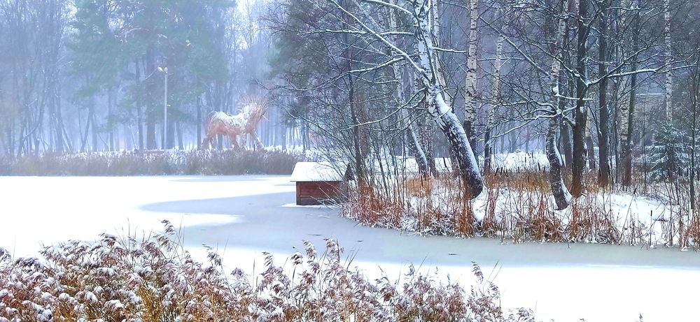 Природа под снегом