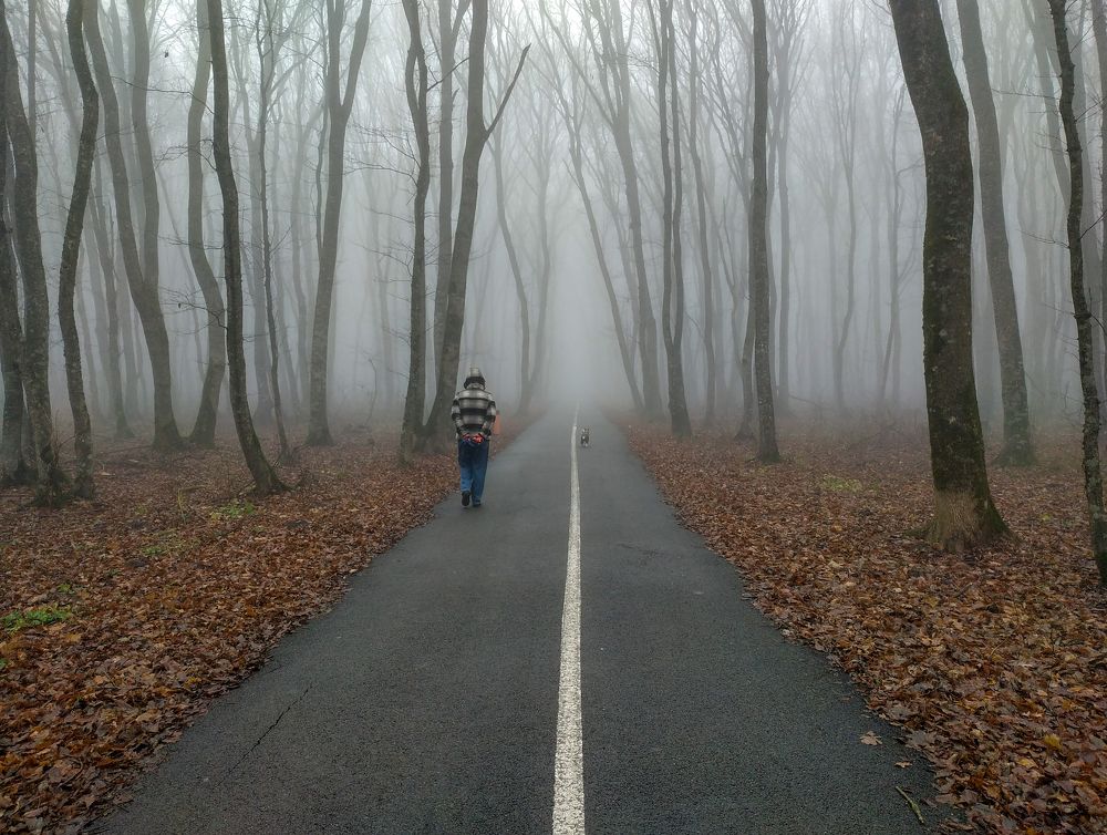 Photograph by Виталий Маслов