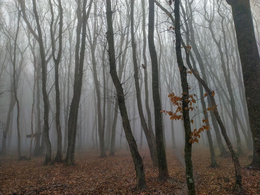 Photograph by Виталий Маслов