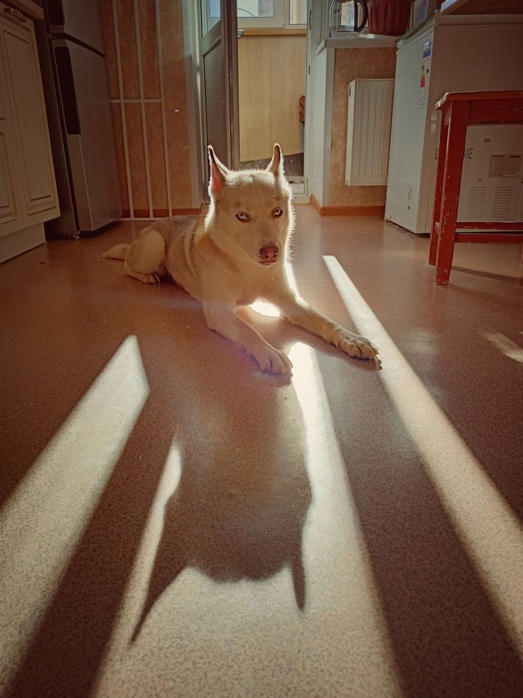 Photograph by Ольга Рогозина