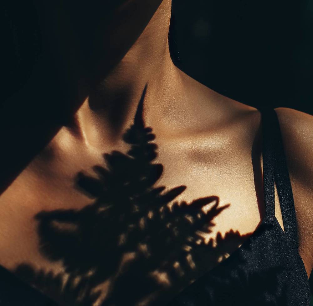 Папоротниковый лес