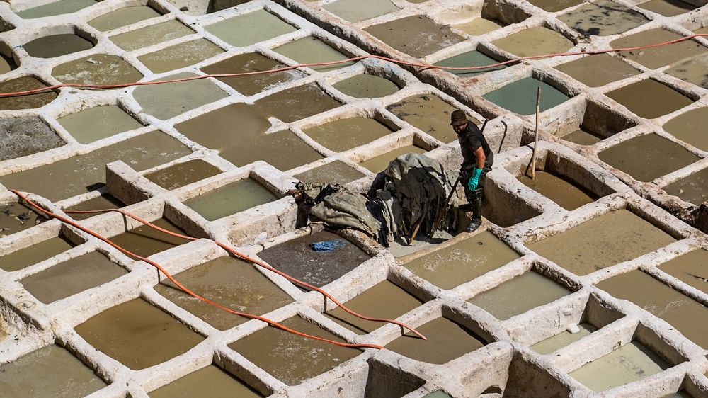 Photograph by Sergey Puponin