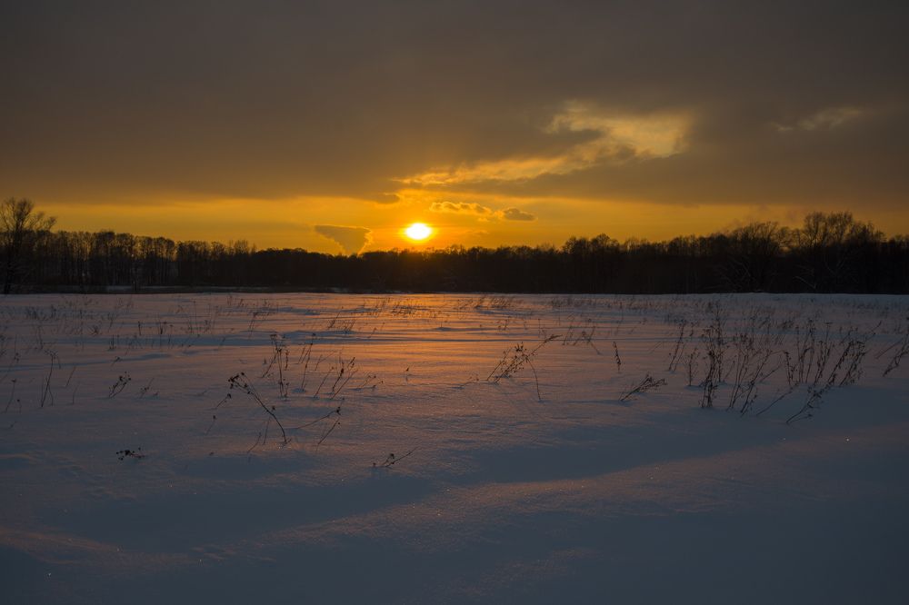 Photograph by Грашин Игорь Алексеевич