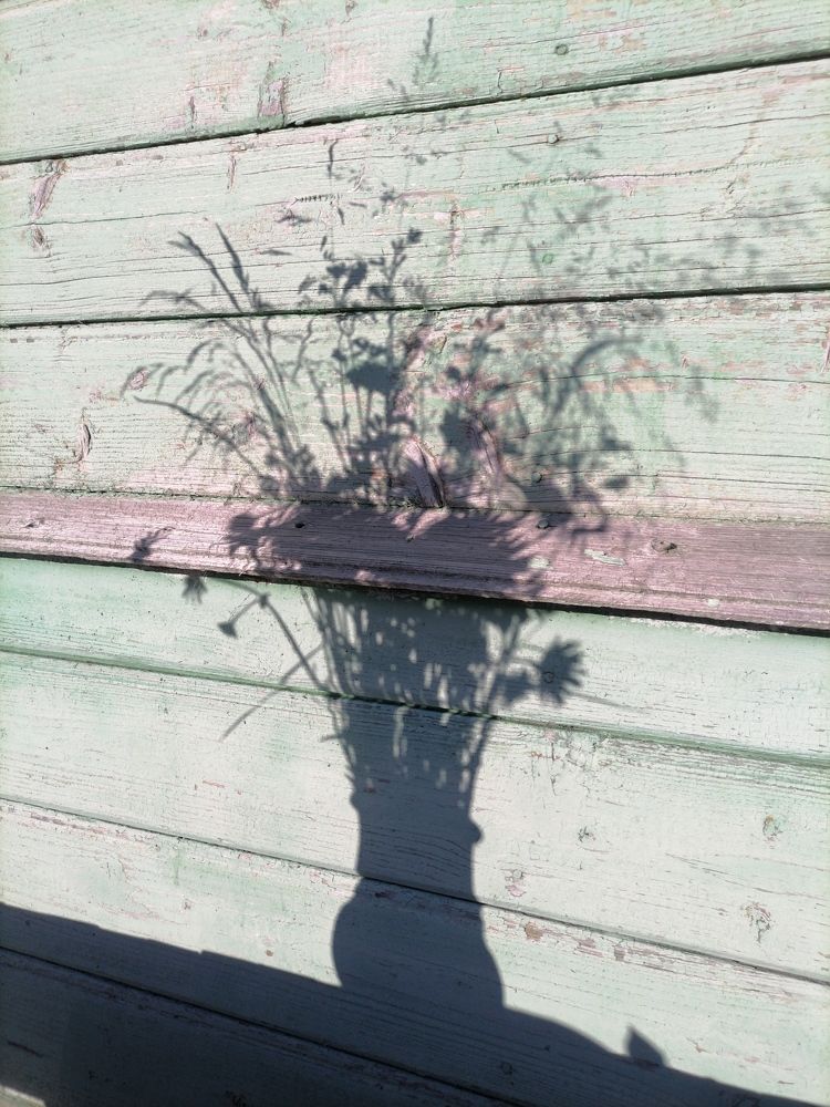 Photograph by Юлия Локалова