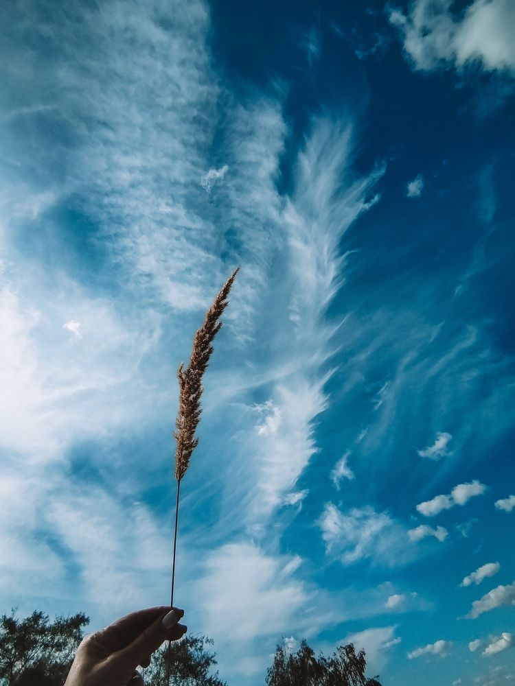 Photograph by Екатерина Сашенкова