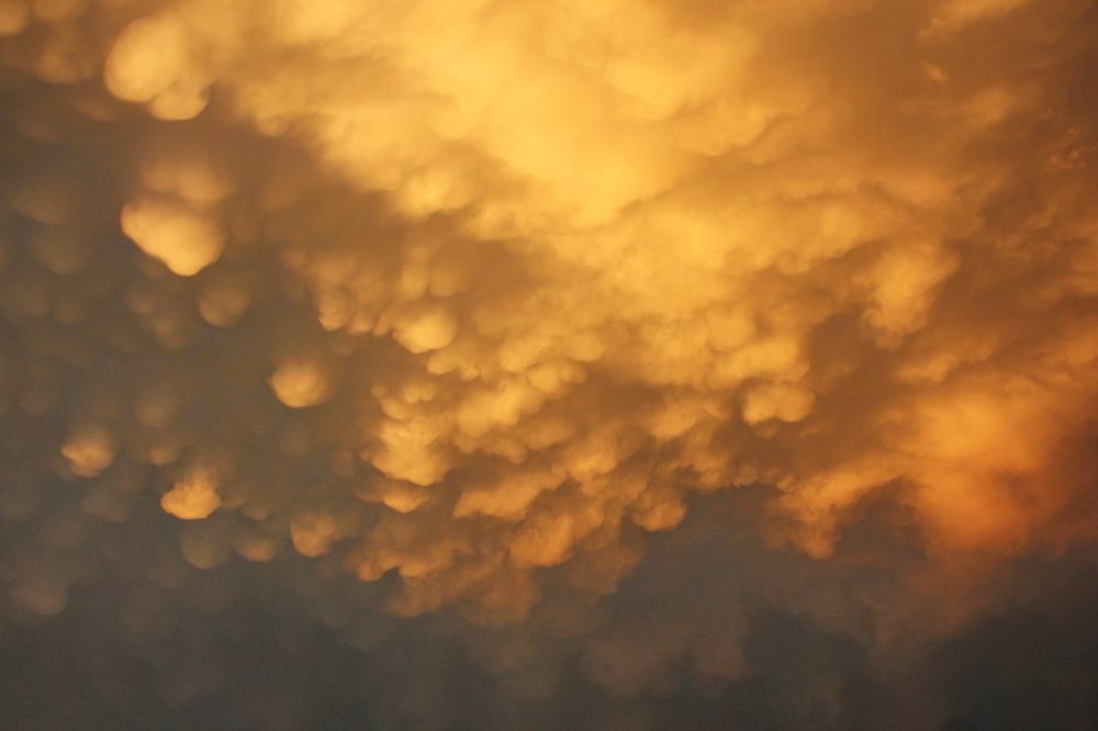 Photograph by Sergei Petrov