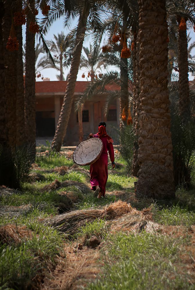 Photograph by Chainez