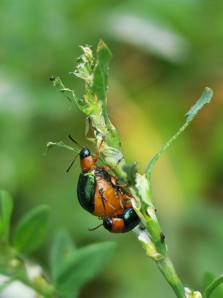 Фотография автора Ольга