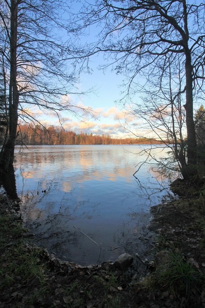 Photograph by Тимофей Петров