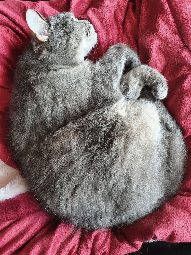 Photograph by MARGARITA KERRE