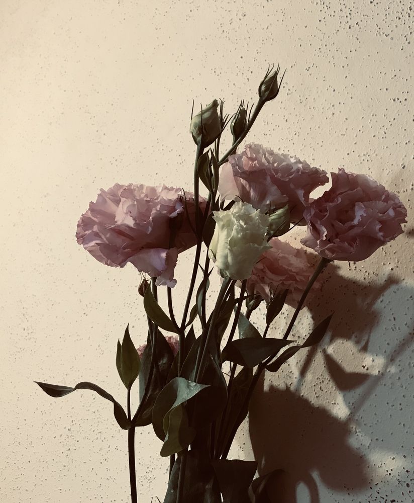 Photograph by Мадина Криштопа