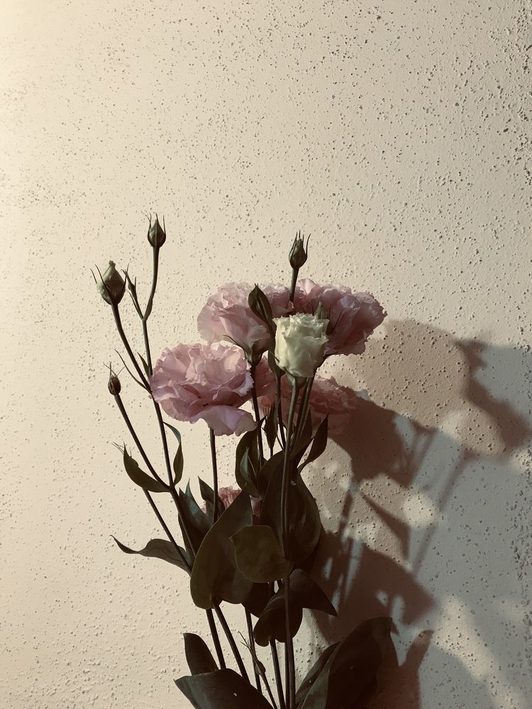 Photograph by Мадина Криштопа
