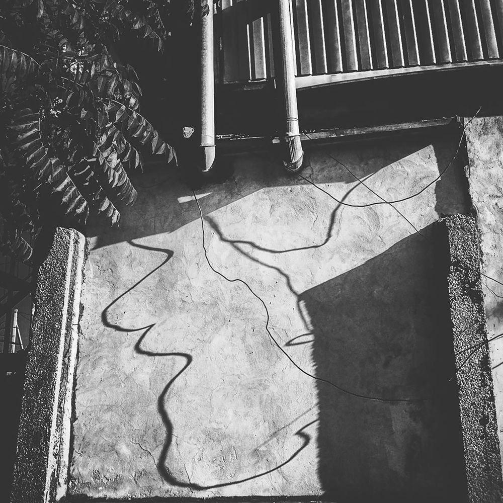 Photograph by Антонина Наговицына