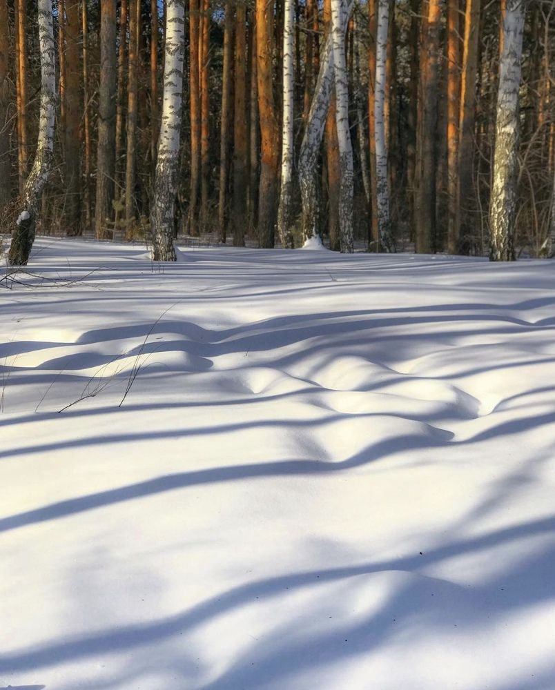 Photograph by Татьяна Волохова