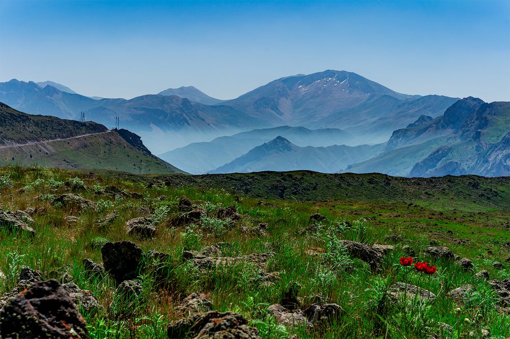 Фотография автора Milad Falahi