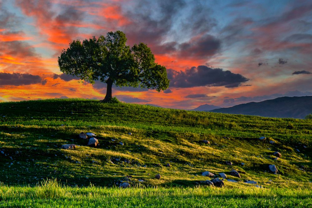 Фотография автора Milad Falahi