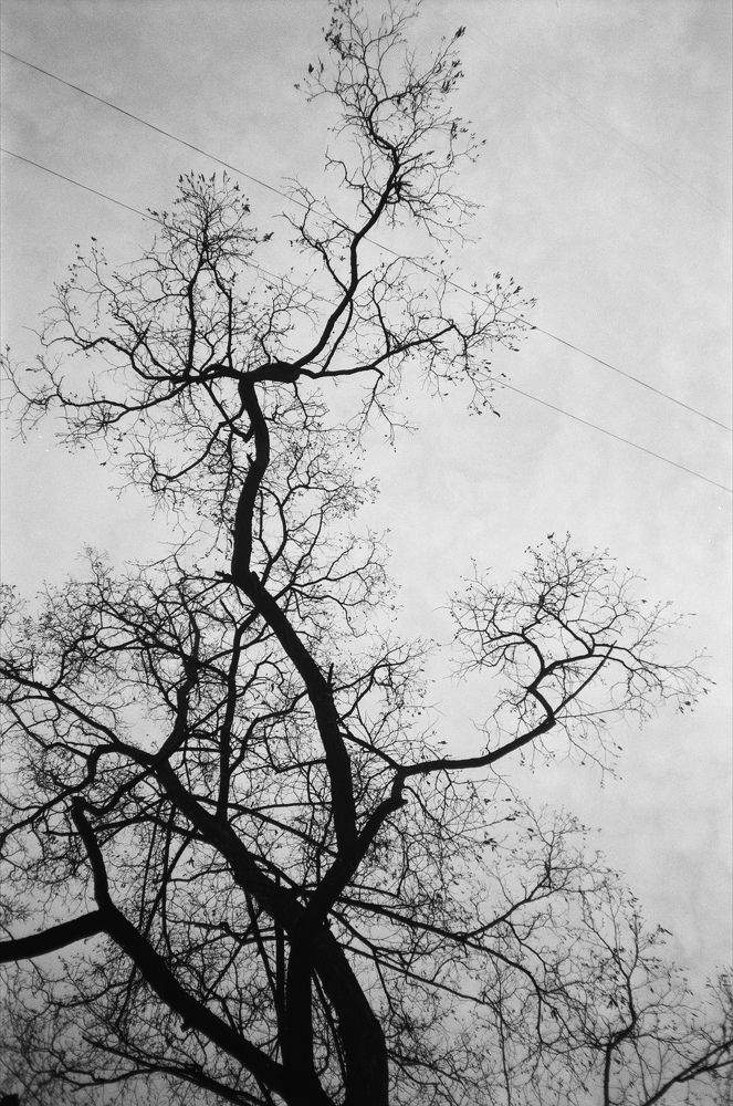Photograph by Егор Архипов