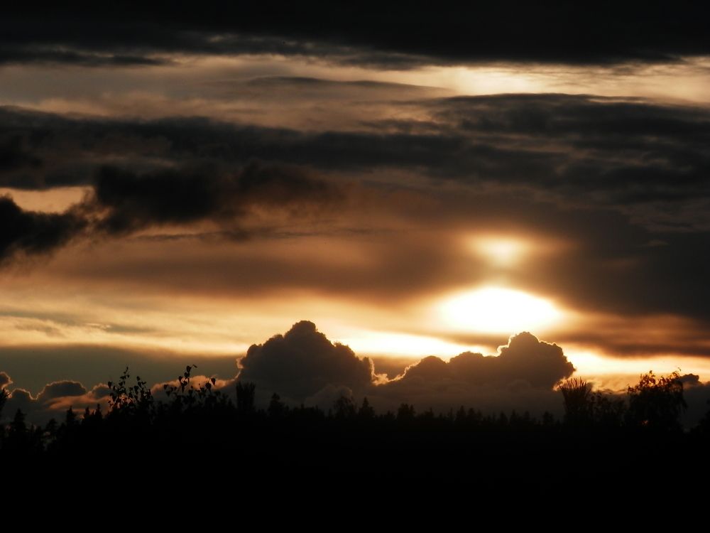 Photograph by Георгий Салюков